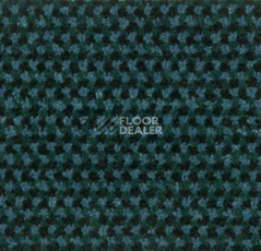 Грязезащитные покрытия Forbo Coral T32 320034200 Jade фото 1 | FLOORDEALER